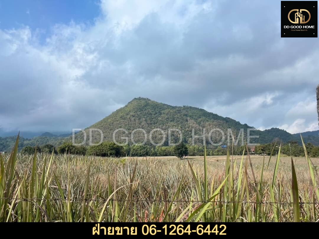 ขายที่ดิน ที่สวย เชียงราย 37 ไร่ ทำเลดีมากกกกกก